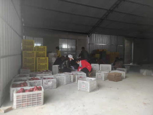 工行溫度丨工行于堡村農(nóng)產(chǎn)品集中交易點建成,農(nóng)產(chǎn)品交易更便捷啦